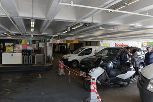 法国动用国家战略石油储备应对油荒的法律框架与影响